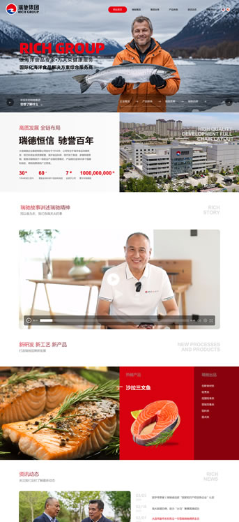 大连网站建设-瑞驰集团