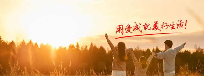 大连网站建设-签约一爱城市服务官网建设