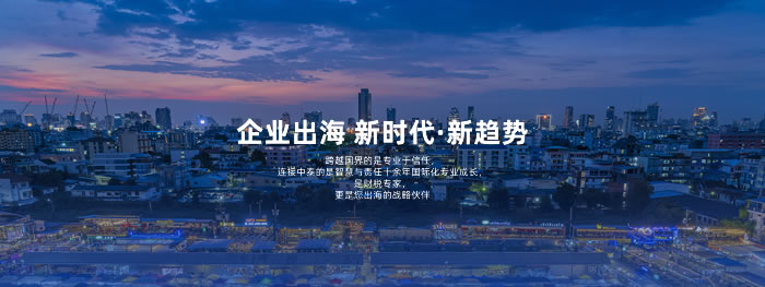 大连网站建设-签约中鑫财税集团官网建设